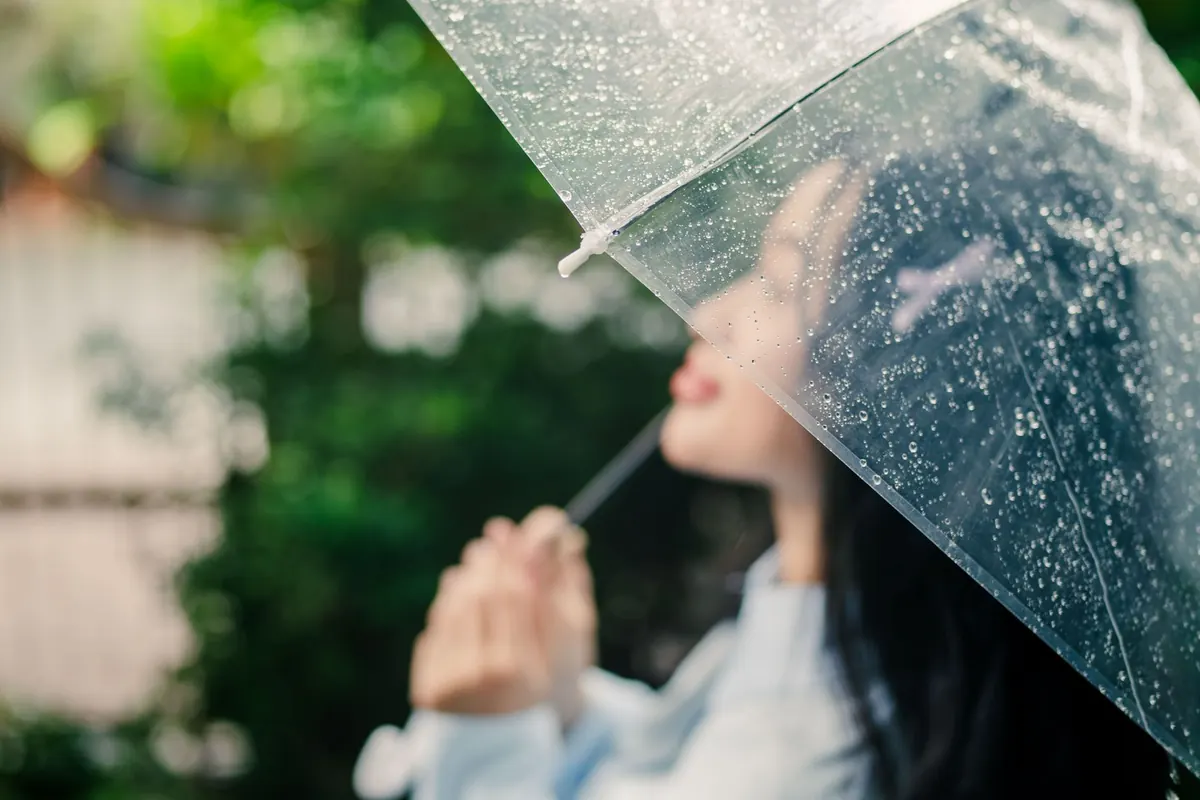 Umbrella Reviews